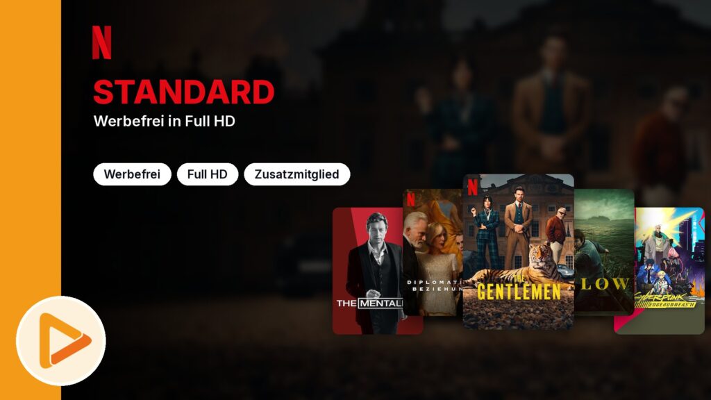 Netflix Standard