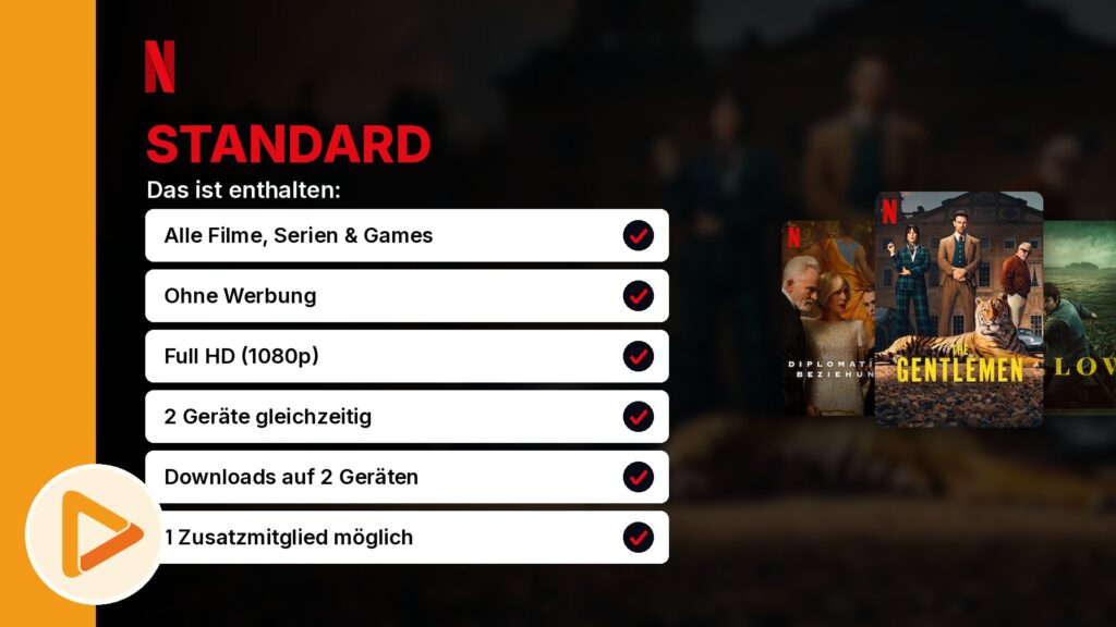Netflix Standard Leistungen